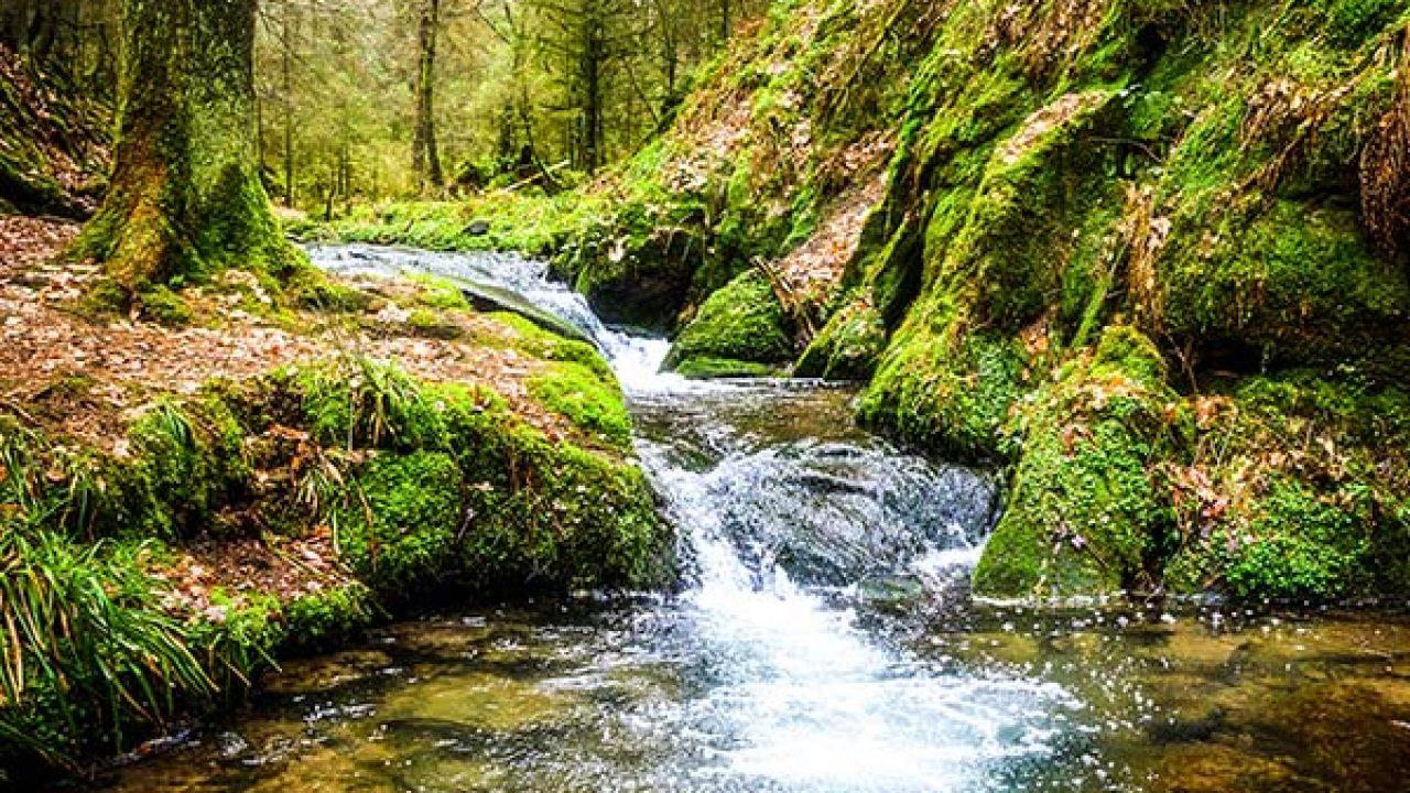 Ooty - Hill Station With Charm And Beauty 