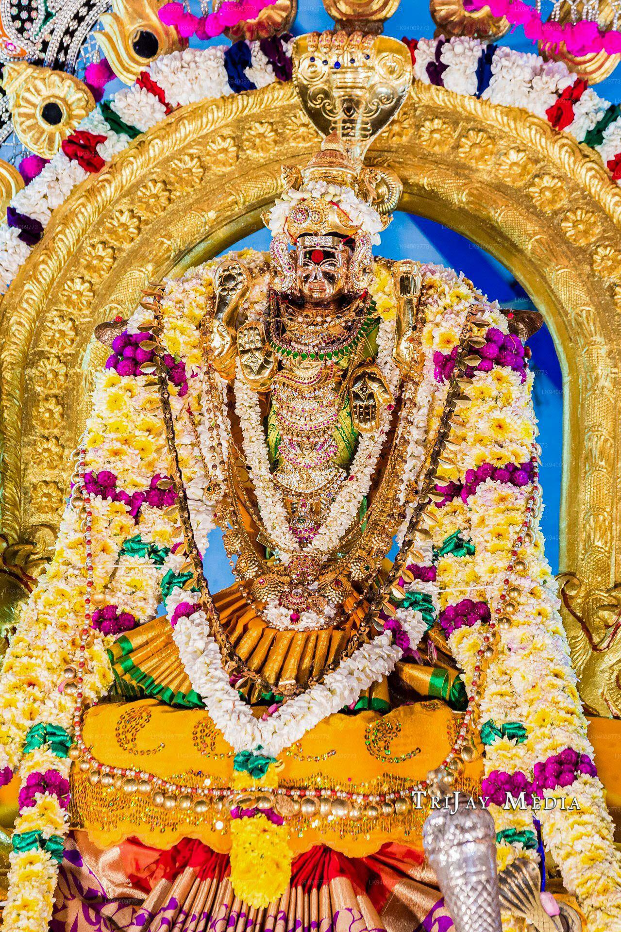 Nainativu Nagapooshni Amman Temple Shaktipeeth | AlightIndia